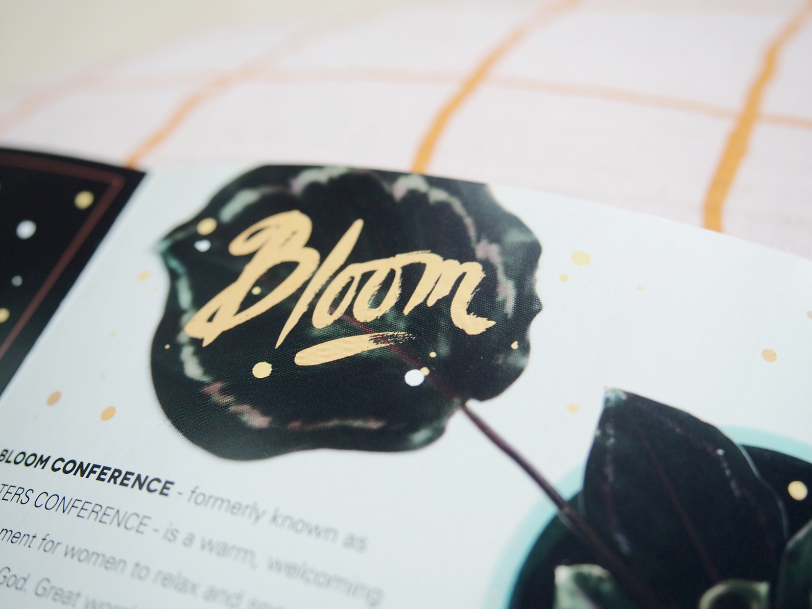 Studio-Mimi-Moon-Design-Branding-&-Event-Identity