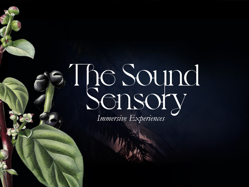The Sound Sensory Design Studio Mimi Moon